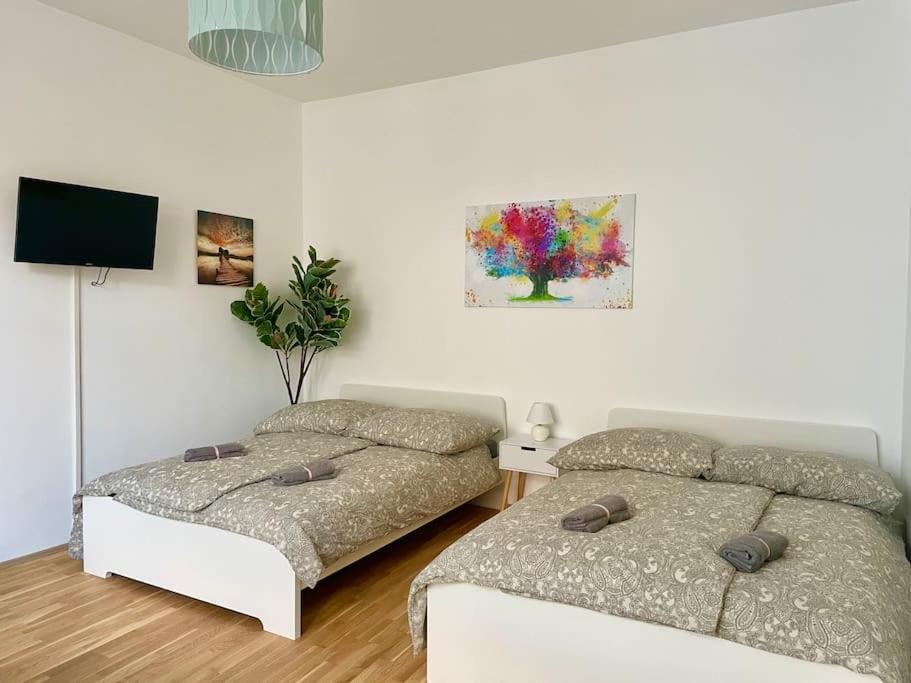15 Min To Center - Free Parking - Sunny & Quiet Apartment Wien Ngoại thất bức ảnh